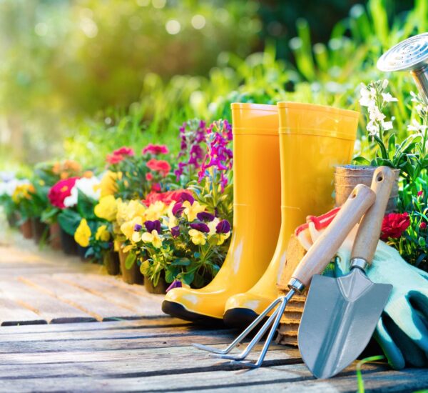 Fisher And Watkins Funeral Home Obituaries: Comprehensive Guide
